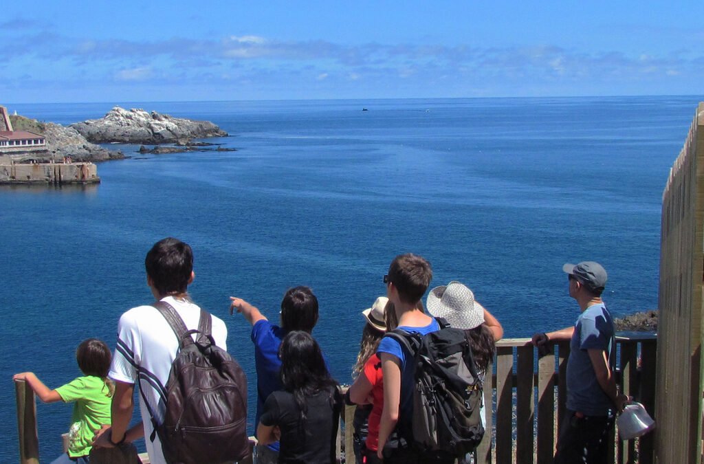 El boom del multilingüismo: por qué aprender idiomas se volvió una necesidad en Chile