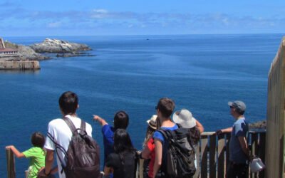 El boom del multilingüismo: por qué aprender idiomas se volvió una necesidad en Chile