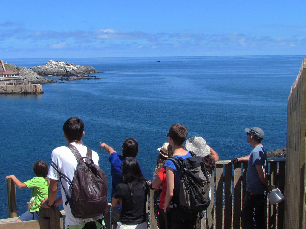 El boom del multilingüismo: por qué aprender idiomas se volvió una necesidad en Chile