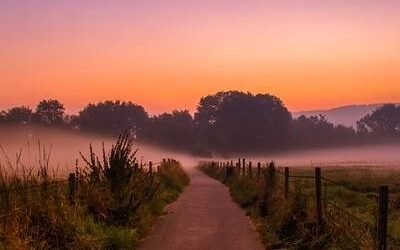 Voluptates quas qui nulla id amet aut.